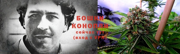 прущая мука Бородино
